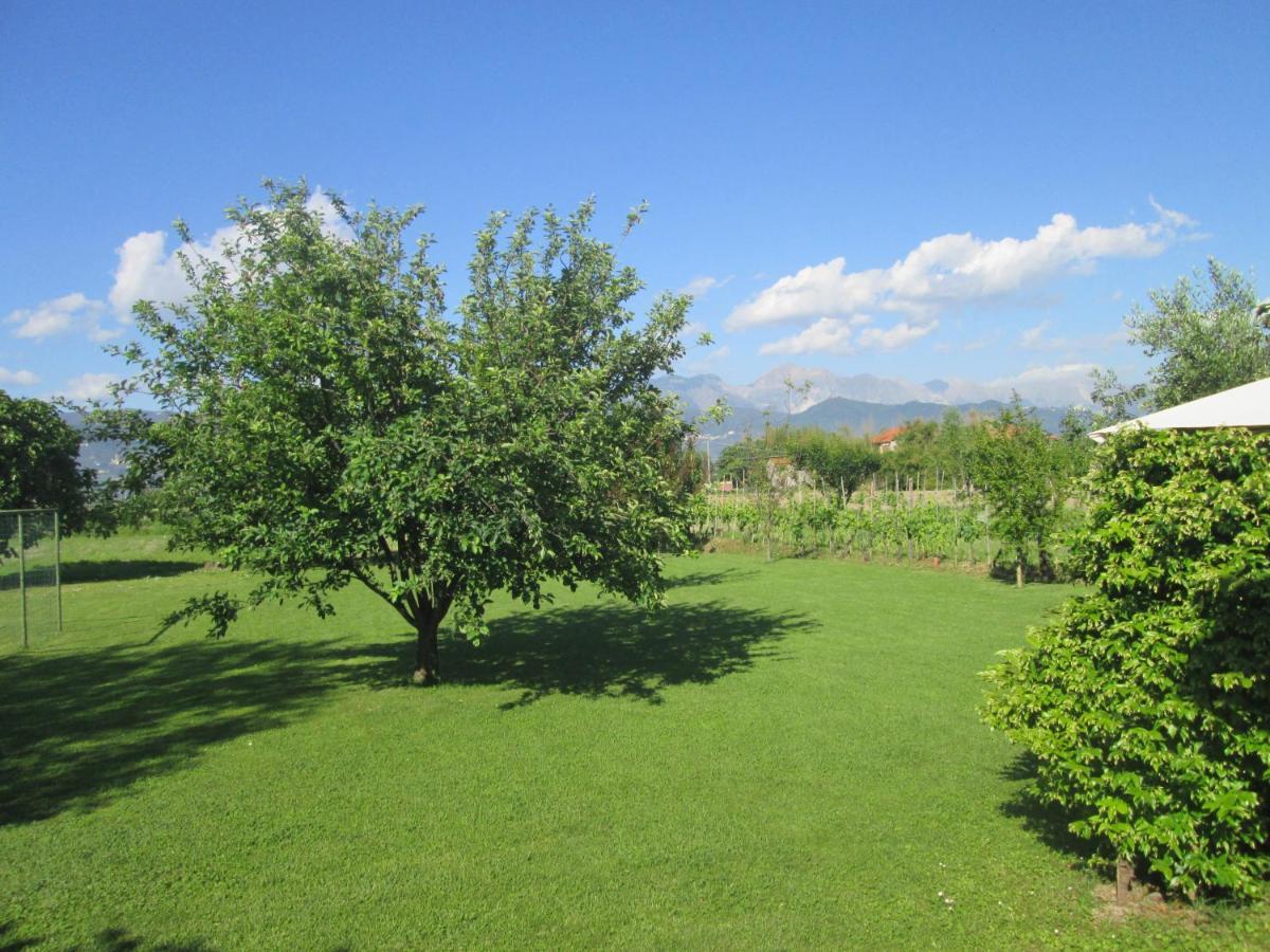 فيلا Casa Margubbio أَميليا المظهر الخارجي الصورة